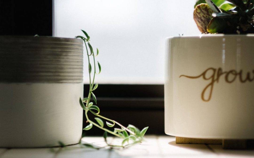 The GROW Model: A Powerful Blueprint for Achieving Your Goals (updated)