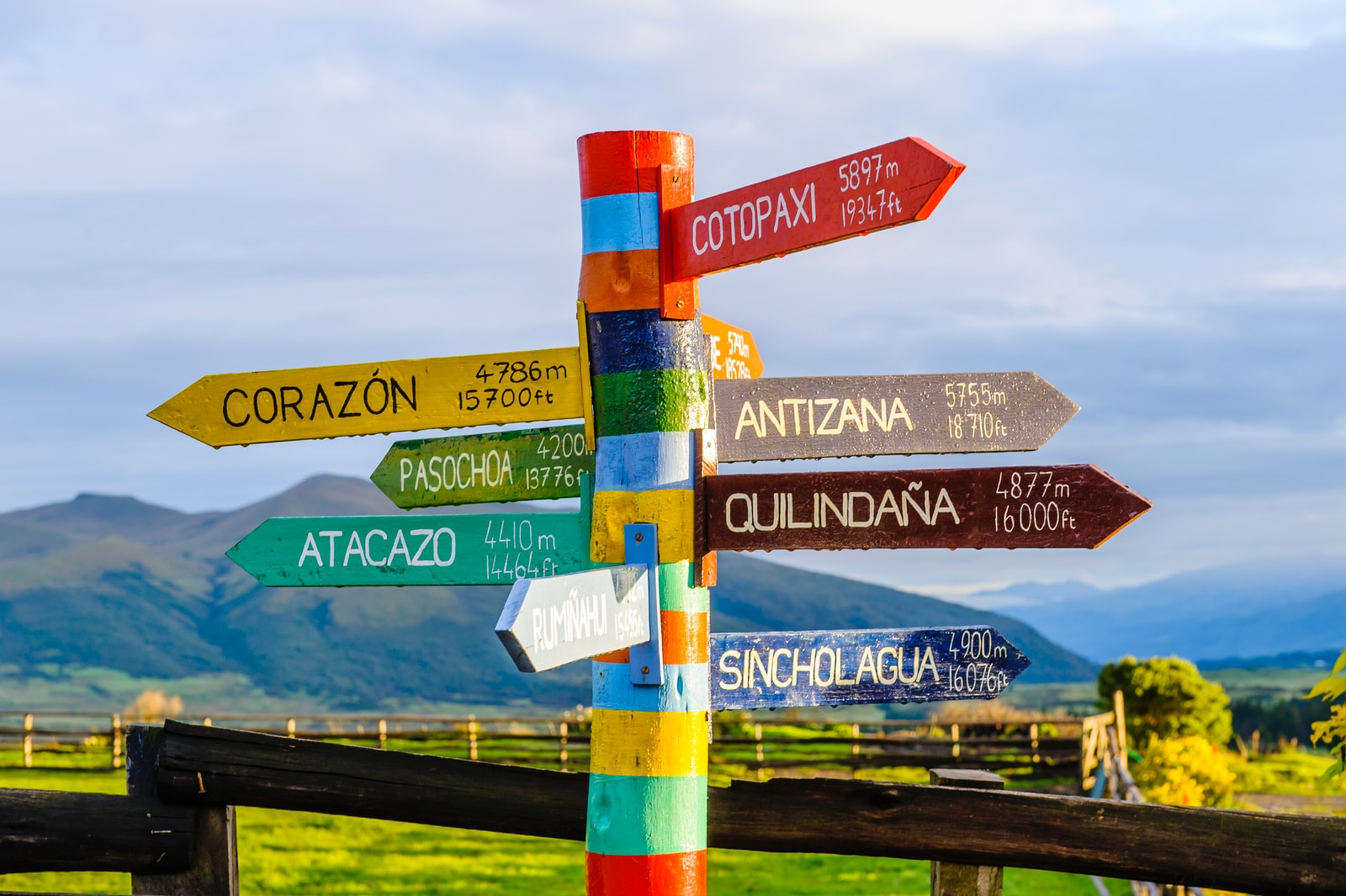 Making Decisions : Decision Tree