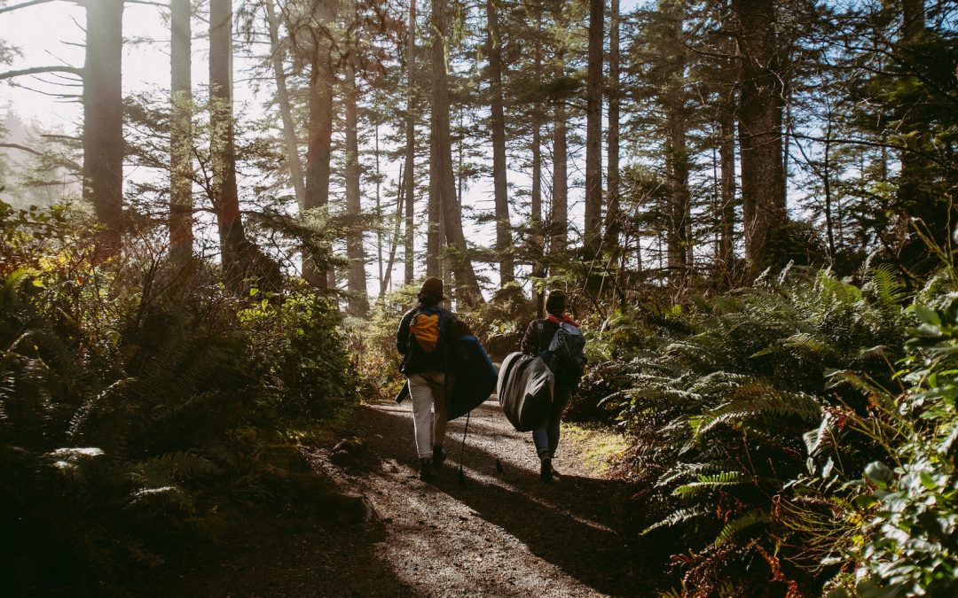 Revitalise Your Spirit: Unleash Power Through Walking Coaching
